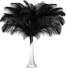 50 Pcs 14-16 Inches Large Natural Ostrich Feathers Bulk for Centerpieces for Wed