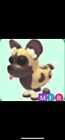 💗SALE! CHEAP PETS!! ADOPT MFR AFRICAN WILD DOG! FAST, TRUSTED DELIVERY!💗