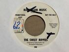 Sweet Bippies Bubblegum Music / Love Anyway You Want It 7