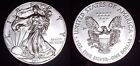 2019 1oz BU ASE American Silver Eagle $1 Dollar MS/Uncirculated Bullion Coin