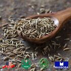 Fennel Seeds Whole Raw 100% Pure Natural Seeds Indian Spice