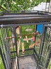 Large Cage Bird Parrot Cockatiel Finch Pet Parakeet Stand Top Supply House Wire