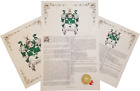 Find Your Name Here - Family Coat of Arms Crest Prints - Ireland Origin