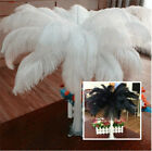 10-1000pcs Natural Ostrich feathers 14-16inch/35-40cm White/Black Wedding Party