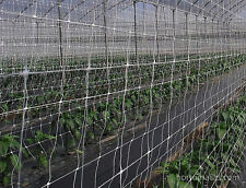 Bio Grade Trellis Grow Plant Support Outdoor 3280' x6' Netting Vine Stems