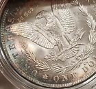 1883 CC Morgan Silver Dollar - Monster Rainbow Toned Both Sides In Airtite