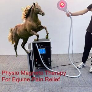 Magnetic Therapy PEMF PMST Physio Magneto Machine for Horse Pain Relief