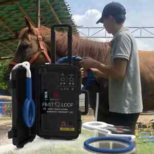 Equine PEMF Therapy Horses Massage Machine PMST LOOP MagneticTherapy Pain Relief