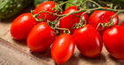 Roma Tomato Seeds - Tomato seeds - Non GMO - USA Grown