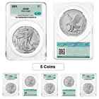 Lot of 5 - 2024 1 oz Silver American Eagle CAC MS 69