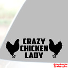 CRAZY CHICKEN LADY Vinyl Decal Sticker Window Bumper Urban Backyard Coop Farm