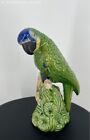 Vintage Bordallo Pinheiro Green 11' Inch Parrot Bird Figurine-1950's-Green Base