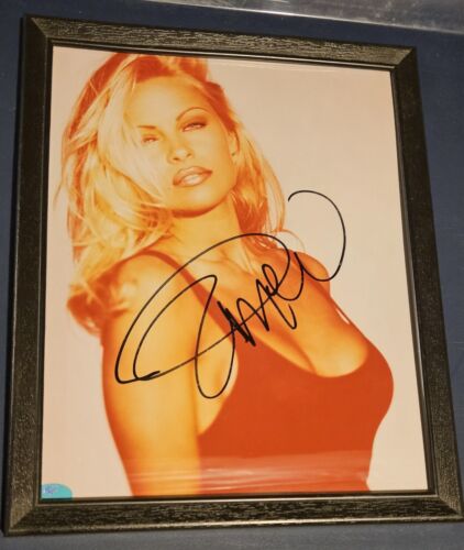 Pamela Pam Anderson Signed Photo 8x10 Framed COA Autographed Vintage Playboy
