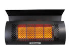Dimplex Outdoor Wall-Mounted Natural Gas Infrared Heater, 31,500 BTUs DGR32WNG