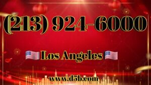 213 VANITY Phone Number 213-924-6000 LA BEST easy phone number