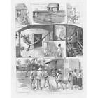 BELIZE Life at St George's Caye - Antique Print 1886