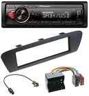 Pioneer MP3 1DIN DAB USB AUX Car Stereo for Renault Scenic (from 12) - Brown