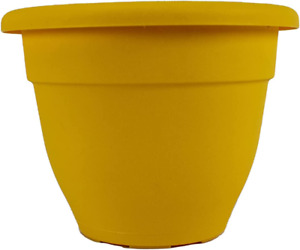 Caribbean Planter - Lightweight Indoor Outdoor Plastic Plant Pot for Herbs and F