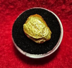 California Natural Gold Nugget 10.0 Grams in a Gem jar w/lid