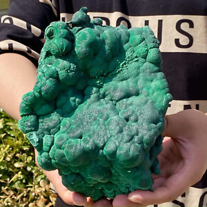 5.68LB Natural glossy Malachite coarse cat's eye cluster rough mineral sample