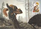 Squirrel Eastern Chipmunk Fauna Wildlife Canada USA Vermont Maxi Card FDC 1987