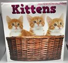 New ListingKittens 2024 Cat Monthly Calender Kitty Gifts Wall Calendar