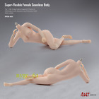 1/6 Suntan/Pale Super Flexible Large Bust Seamless Female Figure Body Model Toys