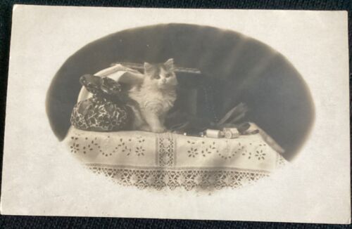 RPPC Vintage Real Photo Postcard Cat Kitten By Sewing Basket
