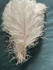 50 White Ostrich Feathers 10-12” Wedding Party Decor Centerpiece Great Gatsby