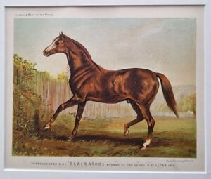 1880's Antique Victorian HORSE Print BLAIR ATHOL Derby & St Leger Winner