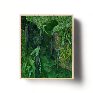 Moss Wall Art Frame 24x32