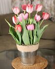 Pre-Potted Red & Pink Tulip Bulb Garden | Ready to Bloom | Red & Pink Assortment