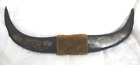 Vintage Phillipines Water Buffalo Carved Horns 24” 1945