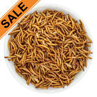 Lot Bulk Dried BSF Mealworms for Wild Birds Food Chickens Hen Fish Treats Food