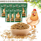 Bulk Dried Mealworms for Wild Birds Food Blue Bird Chickens Hen Treats Wholesale