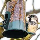 Hanging Bird Feeder Wild Premium Hanging Tube Feeders for Garden Yard Outside