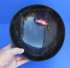 8 inch Polished Cattle/Buffalo horn Bowl from India taxidermy (S)