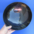10 inch Polished Cow/Buffalo horn Bowl from India taxidermy # 47750