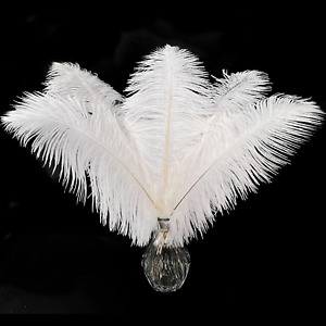 20 Pcs White Ostrich Feathers Plumes 10-12 Inch(25-30 Cm) Bulk for DIY Christmas