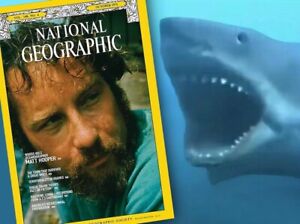 Jaws Movie Props Memorabilia Matt Hooper JAWS National Geographic Cover! Amity!