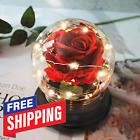 Beauty and Best Rose Gift for Women,Flower Rose Light up Rose in a Glass Dome🆕