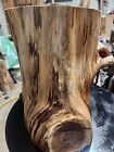 Cedar Stump, Side Table, Stool