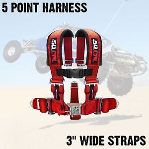 5 Point Harness 3