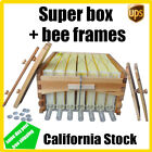 Auto Flow Bee Hives Super Box Beekeeping Hives + 7x Bee Hive Frames Bee Frames
