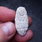 38mm Equicalastrobus sp. Pine Cone Seed Chalcedony Fossil Plant Eocene 5