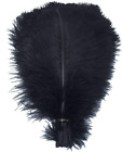 14-16Inch 35-40Cm Ostrich Feathers Plumes for Table Decoration Pack of 10(Black)