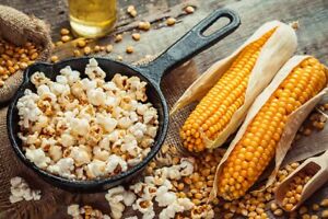 Corn Seeds  - Popcorn Seeds - Sweet Corn Seeds - USA Grown -Non Gmo