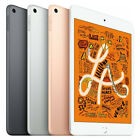 Apple iPad mini 5 (5th Gen) 256GB Wi-Fi 7.9