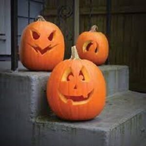 Premium Jack O Lantern Pumpkin - Fresh Heirloom Seeds - Perfect Carving Pumpkin!