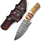 Damascus Hunting Fixed Blade Handmade Knife With Leather Sheath, Ram Horn Handle